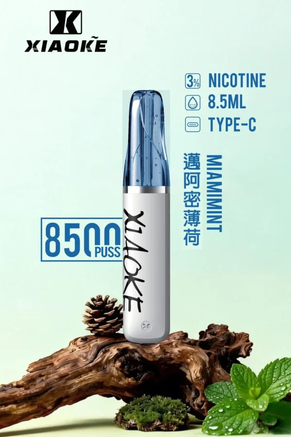 XIAOKE 梟客 8500口拋棄式電子煙｜長效續航與細膩霧感體驗｜適合追求便利與穩定口感的玩家
