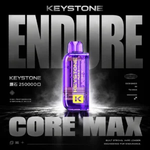 【買一盒煙彈送主機】KEYSTONE FLEX-3 鑰石 25000口拋棄式電子煙｜三段功率調節與Mesh網芯霧感體驗｜適合追求高續航與個性化口感的玩家