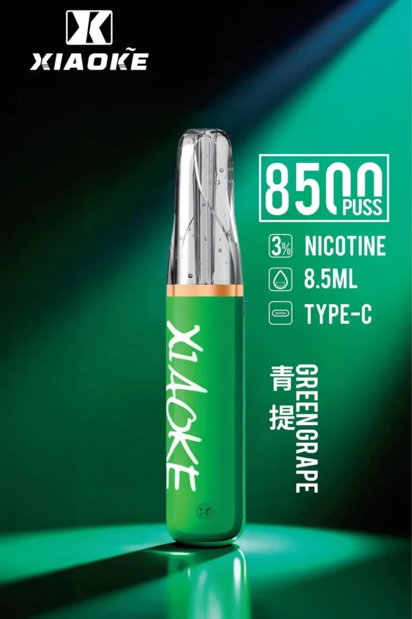 XIAOKE 梟客 8500口拋棄式電子煙｜長效續航與細膩霧感體驗｜適合追求便利與穩定口感的玩家
