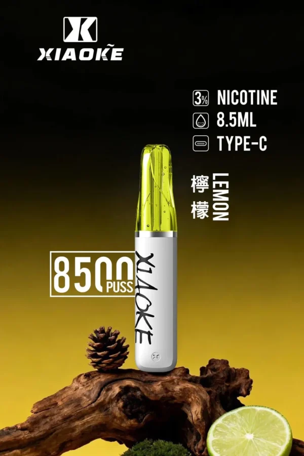 XIAOKE 梟客 8500口拋棄式電子煙｜長效續航與細膩霧感體驗｜適合追求便利與穩定口感的玩家